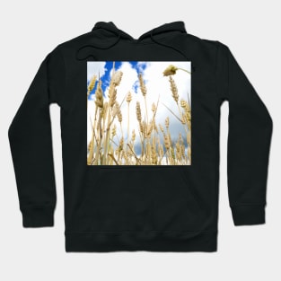 Wheat Hoodie